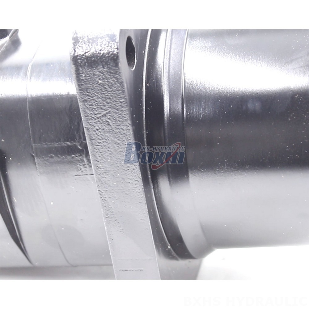 Direct from Factory: High-Quality BM6W 310 cc/r 150 Lpm Hydraulic Motors detail image